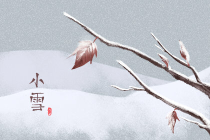 小雪喝什么汤最滋补 做法是什么